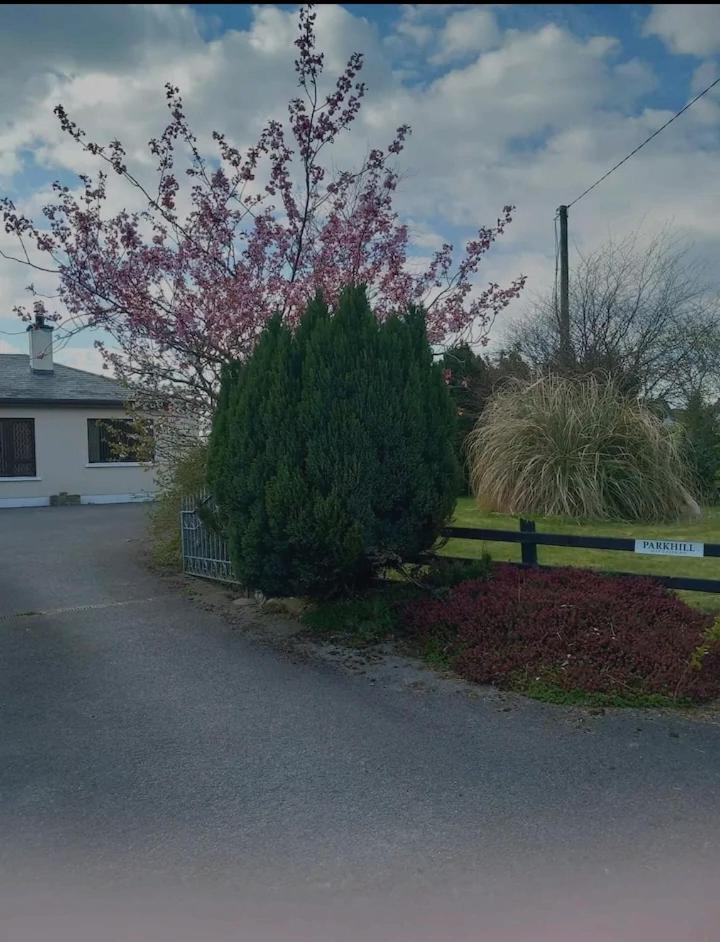 Appartamento Parkhill House Self Catering Ballyshannon Esterno foto
